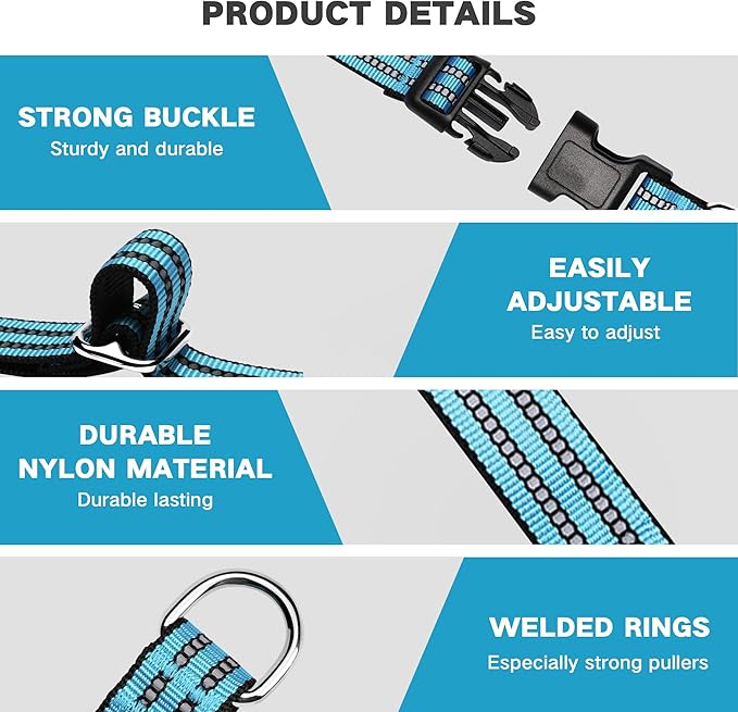 Hikiko Martingale Dog Collars Reflective Nylon Dog Collar with Quick Release Buckle Adjustable Training No Slip Dog Collar (Small, Light Blue)