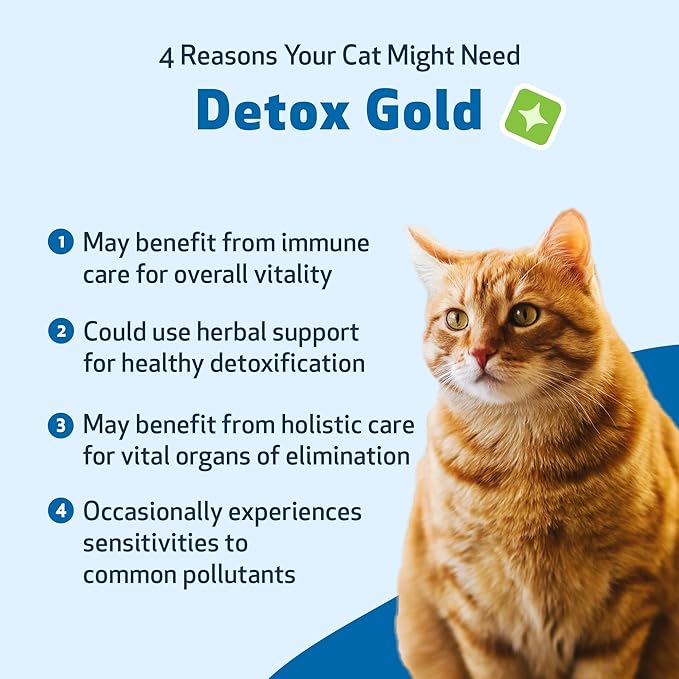 Pet Wellbeing Detox Gold for Cats - Gentle Detoxification & Elimination Support, Immune System Care, Nettle, Blessed Thistle, Burdock Root - Veterinarian-Formulated Herbal Supplement 2 oz (59 ml)