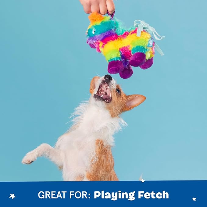 Barkbox Squeaky Dog Toys - Plush and Squeak Chew Toys | Puppy and Pet Toys for Small Dogs (Full O' Fluff Piñata, Small Dog)