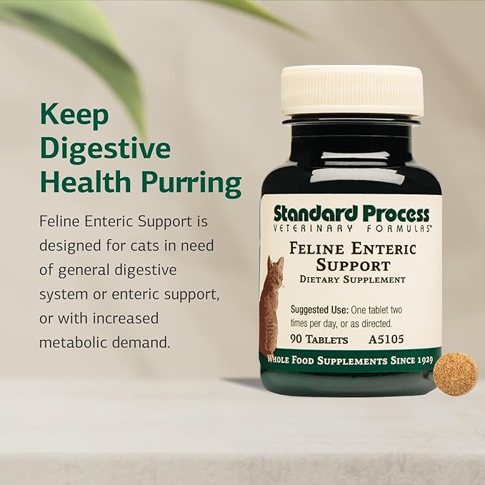 Standard Process Inc. Feline Enteric Support - 90 Tablets