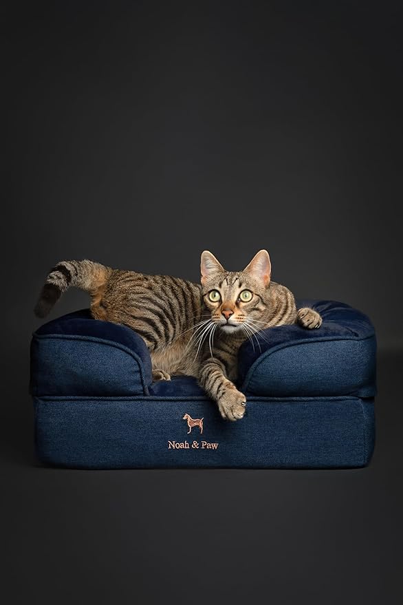 NOAH & PAW Small Dog Bed, 20x15x8 Inch, Cat Bed for Indoor Cats, Orthopedic Eggshell Memory Foam Infused with Cooling Gel, Waterproof Inner Cover Machine Washable (Denim Collection)