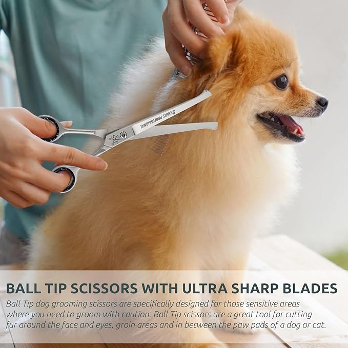 Ball Tip Curved Shears - Pet Grooming Essential - Scissors for Dogs - Safety Round Tips - Stainless Steel Dog Grooming Scissor - 6.5 In