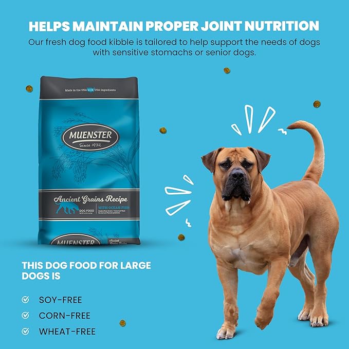 Muenster Ancient Grains Ocean Fish Dry Dog Food, 12lb (Pack of 3) - Gluten-Free, High Protein, Digestive Support