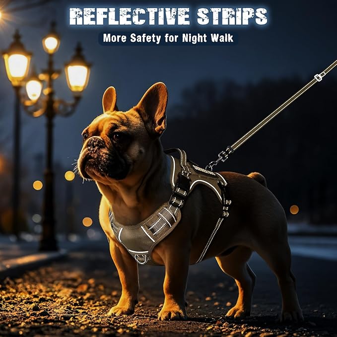 Tactical Dog Harness and Leash Set Small Sized Dog,Heavy Duty No Pull Service Dog Vest and 10 Patches with Dog Seat Belt,Reflective Adjustable Pet Harness for Training Walking Hiking Brown S