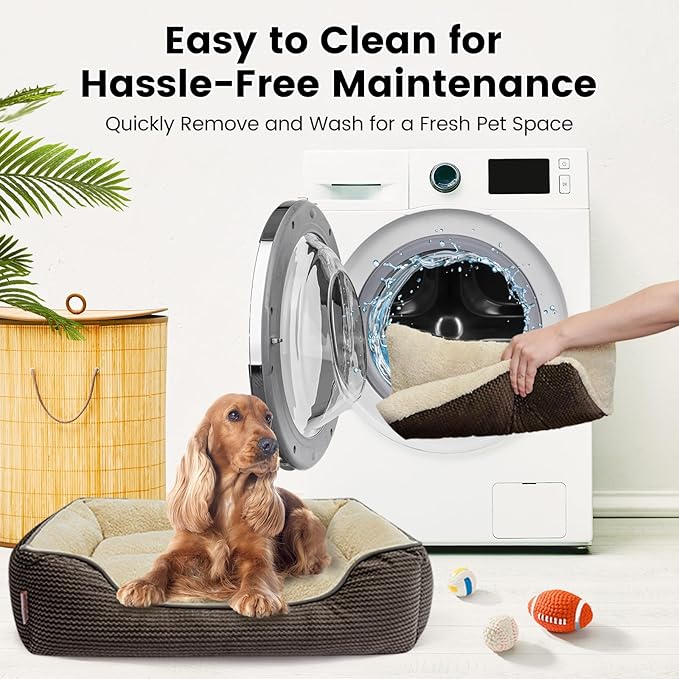 Miguel Dog Bed with Removable Cushion/Pillow for Medium Small Dogs, Washable Pet Bed with Side Easy to Wash Puppy Bed, Large Rectangle Cat Bed for Indoor Cat with Anti-Slip Bottom, Brown 35 Inch