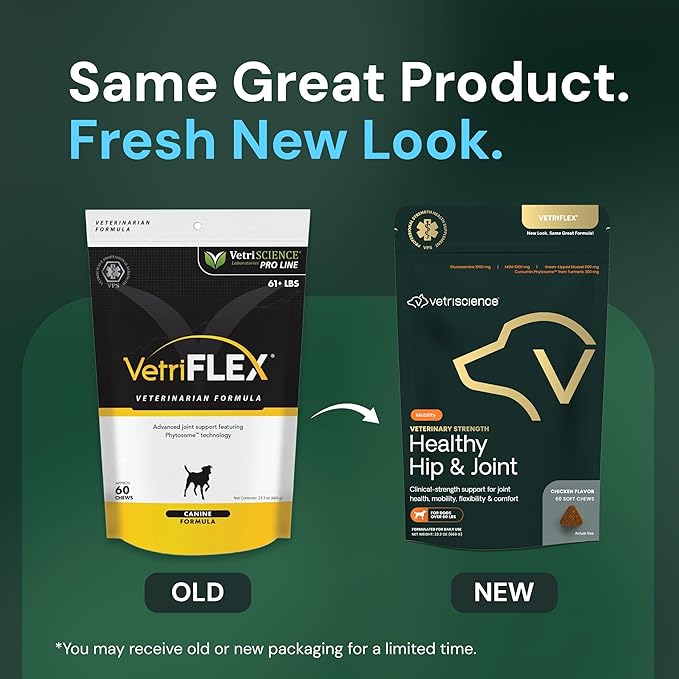 VETRISCIENCE Veterinary Strength Healthy Hip & Joint Chews - Joint Health Supplement for Dogs Over 60 Pounds - Supports Mobility & Flexibility in Large Dogs - 60 Count