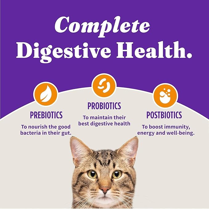 Halo Holistic Cage Free Chicken Cat Food, Healthy Grains Dry Cat Food, Complete Digestive Health, Kibble for Adult Cats, 10 lb Bag