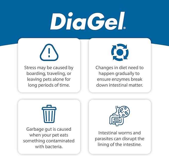 DiaGel for Kittens - Orally Administered Gel for Occasional Loose Stools and Digestive Upset - Natural Pet Products - Van Beek Natural Science