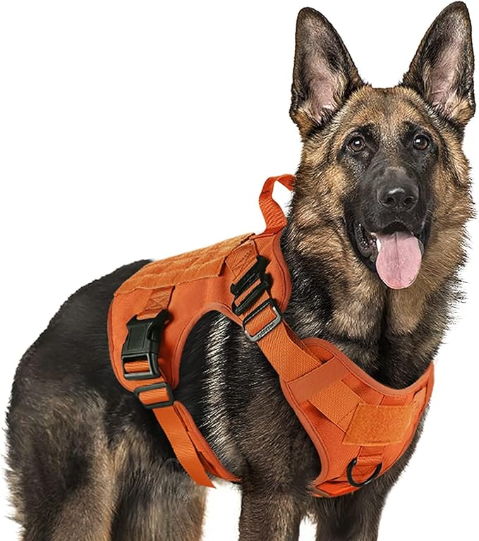 rabbitgoo Tactical Dog Harness for Large, Heavy Duty Pet Harness with Handle, No-Pull Service Vest Large Breed, Adjustable Military Dog Vest for Training Hunting Walking, Orange, XL