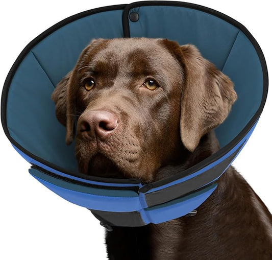 Queenmore Dog Cone XL, Soft Dog Cones for Large Dogs After Surgery, Cone for Dogs to Stop Licking, Elizabethan Collar for Pet, Alternative to Recovery Collar for Large Breeds, Blue XL