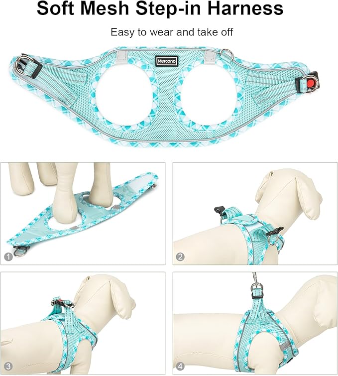 Mercano Soft Mesh Dog Harness and Leash Set, No-Chock Step-in Reflective Breathable Lightweight Easy Walk Vest Harnesses with Safety Buckle for Small Dogs, Cats (Light Blue, M)