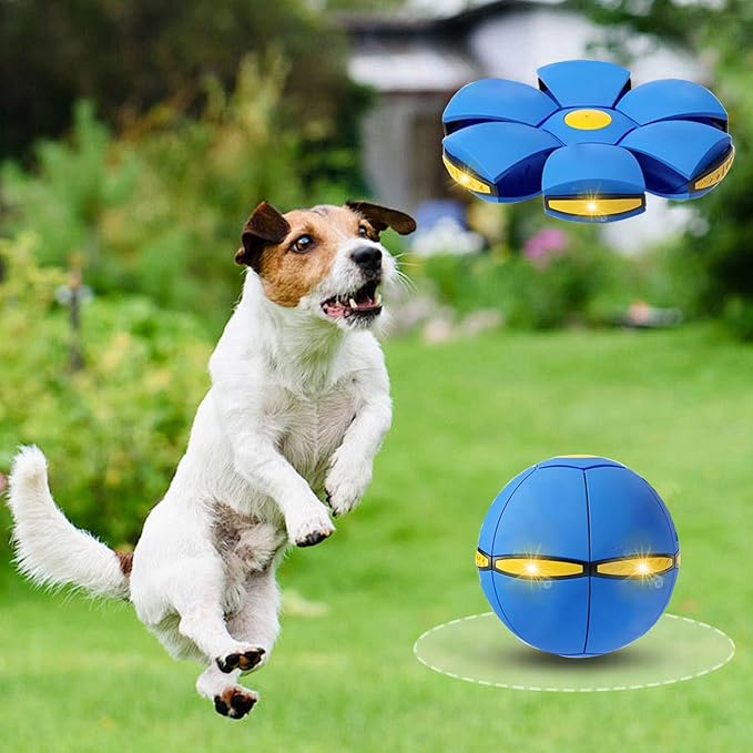 FlidRunest 3-Piece Flying Saucer Dog Toy Set, Interactive LED Dog Disc Toy