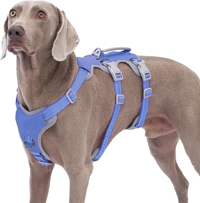 Huntboo Escape Proof Dog Harness, No Pull Reflective Harness with Lift Handle, Adjustable Pet Vest with Front and Back Leash Clips for Small Medium Large Dogs Walking Hiking Training (Vista Blue,XL)