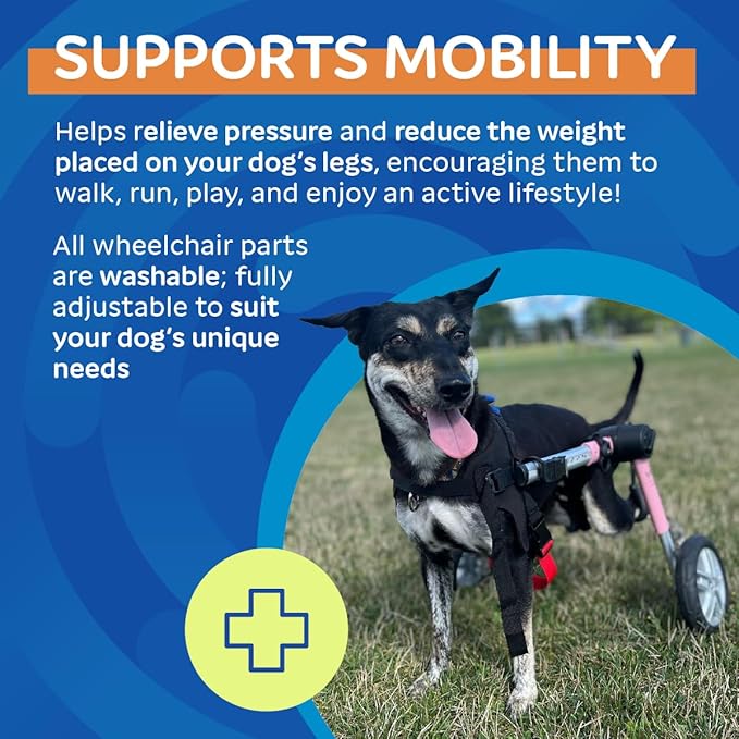 Walkin' Wheels Dog Wheelchair - for Medium Dogs 26-49 lbs - Veterinarian Approved - Dog Wheelchair for Back Legs