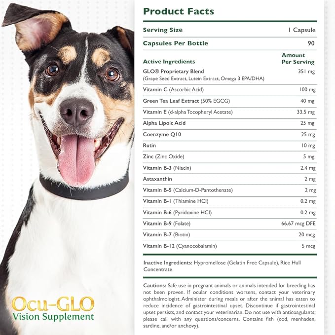 Ocu-GLO PB Vision Supplement for Medium & Large Dogs – Easy to Administer Powder Blend with Lutein, Omega-3 Fatty Acids, Grape Seed Extract & Antioxidants to Promote Eye Health, 90ct Powder Capsules