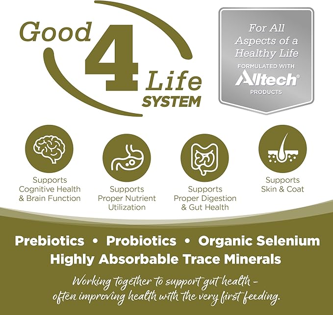 NutriSource Grain Free Dry Dog Food, Small Bites, Chicken and Peas, 12LB