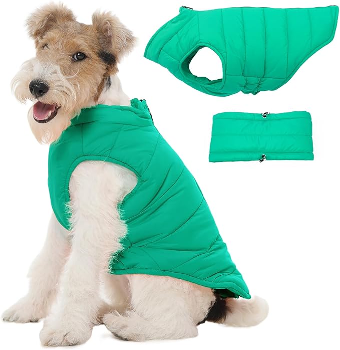 Dog Puffer Jacket with Detachable Neck Wrap for Small Dogs, Waterproof Dog Vest with Back Zipper, Winter Coat Fleece Elastic Band on Chest for Dogs, Bichon Frise, Chihuahua, Green XS
