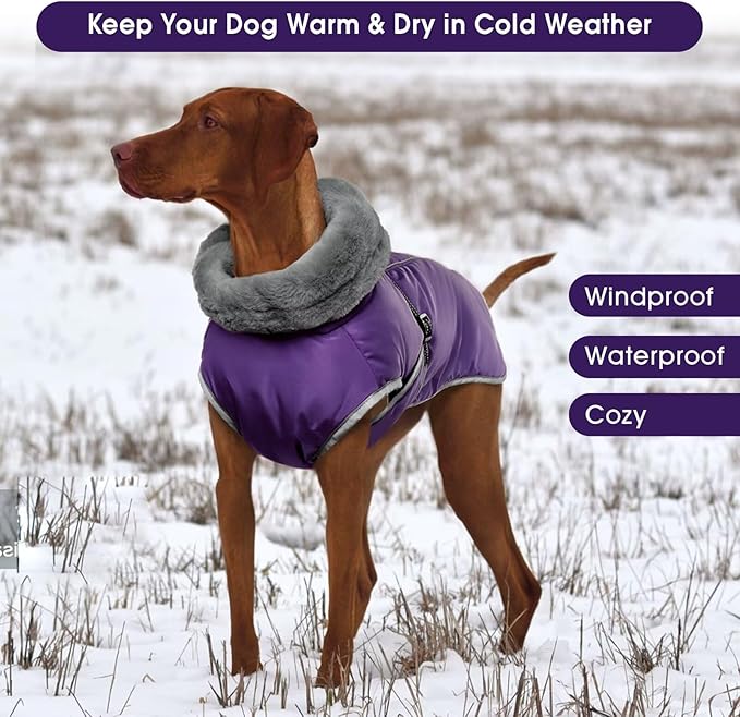 Dog Winter Jackets for Large Dogs,Size L Warm Pet Coat with Leash Hole,Waterproof Dogs Snowsuits Warm Pet Jacket Fleece Cold Weather Coats Reflective Puppy Vest,Dog Cold Weather Coats,Purple,L