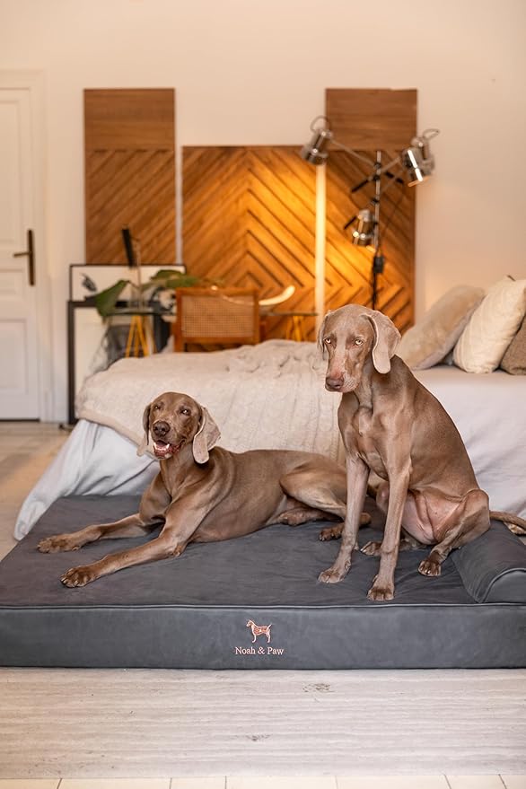 NOAH & PAW Giant Dog Bed XXL 55x45x9.5 Inch, Orthopedic Dog Beds, Eggshell Memory Foam Infused with Cooling Gel, Waterproof, Machine Washable, Includes Inner Cover (Faux Leather)