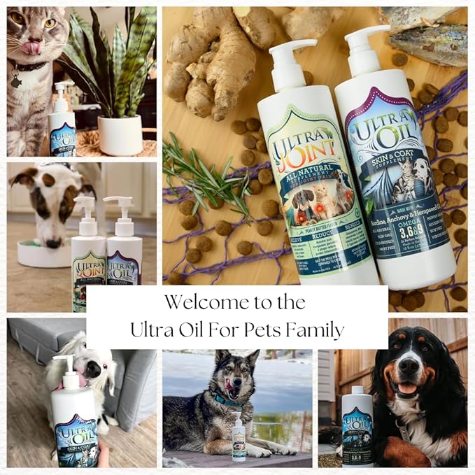 Ultra Joint - Liquid Joint Support Supplement for Dogs with Glucosamine & Chondroitin - Pain Relief from Arthritis & Inflammation (32 oz)