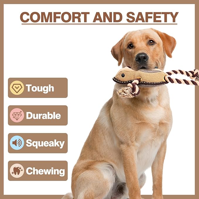 Tough Durable Squeaky Dog Toys for Aggressive chewers Interactive to Keep Them Busy, Funny Plush Dogs Toy for Small Medium Large (New Frog)