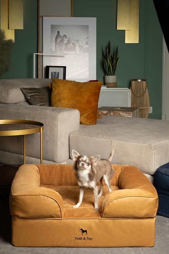 NOAH & PAW Dog Bed, 28x23x11 Inch, Orthopedic Dog Beds for Medium Size Pets, Eggshell Memory Foam Infused with Cooling Gel, Inner Cover, Waterproof, Machine Washable (Faux Leather Sofa Collection)