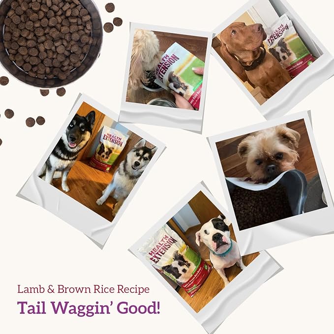 Health Extension Lamb & Brown Rice Dry Dog Food (30 lb / 13.61 kg) - Nutritious Free-Range Lamb Formula with Probiotics, Antioxidants & Omega 3 for Dogs with Sensitive Digestion