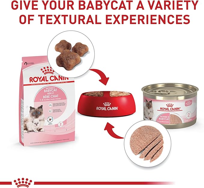 Royal Canin Feline Health Nutrition Mother & Babycat Dry Cat Food, 3 lb Bag