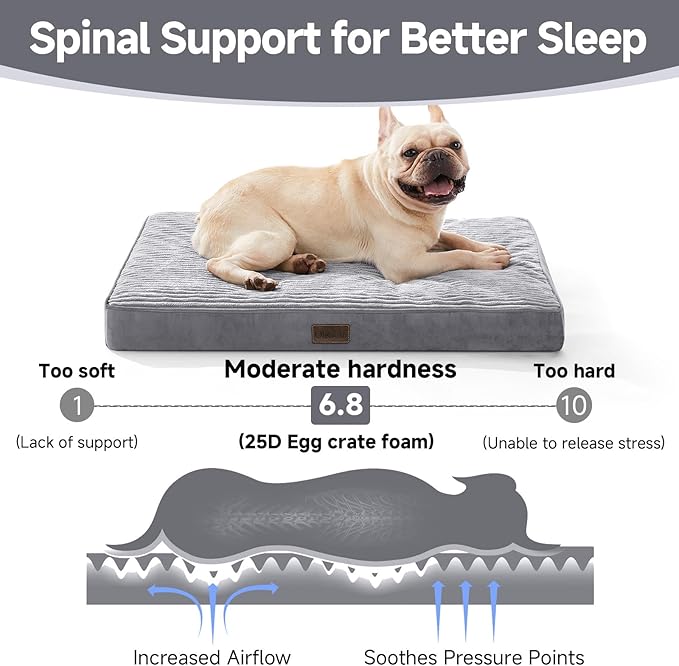 OhGeni Orthopedic Waterproof & Machine Washable Dog Bed for Small Medium Pets, Suitable for Crates, Cat Mat with 25D Egg Crate Foam, Removable Cover, 30 Inches(Gray)