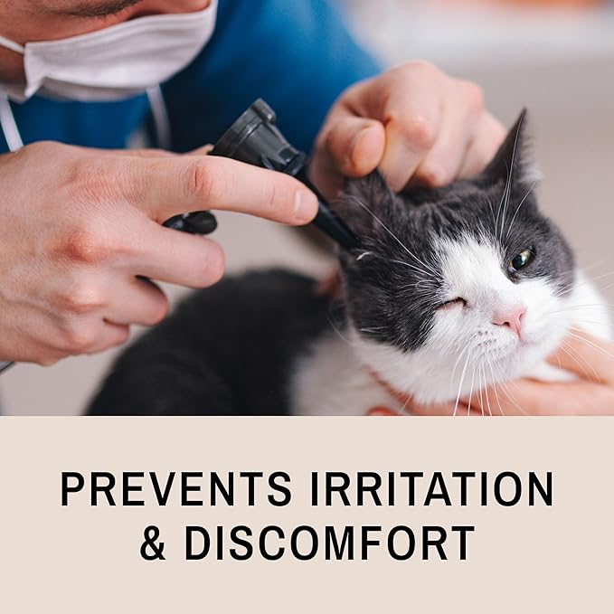 Eye Envy Fresh Ear Cleaning Wipes for Cats. Made in The USA from Natural Ingredients. Unscented. Prevents Infections. Safe and Non-Irritating. Removes Dirt, Debris, and Wax buildup. 60 Count.