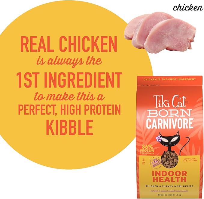 Tiki Cat Born Carnivore High Protein, Indoor Health, Chicken and Turkey Meal Recipe, Grain-Free Baked Kibble to Maximize Nutrients, Dry Cat Food, 3 lb. Bag