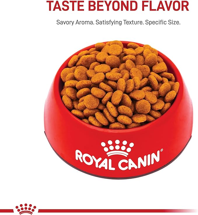 Royal Canin Size Health Nutrition Medium Adult Dry Dog Food, 30 lb Bag