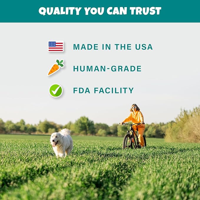 Plant-Based Pumpkin Dog Treats - Pumpkin, Carrot, Apple, and Blueberry Soft & Chewy - Vegetarian, Vegan Dog Treats with Organic Ingredients - Low-Protein, Hypoallergenic, Gluten-Free