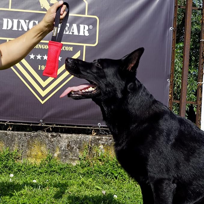 Dingo Gear French Linen tug Toy for Dog, Dog Bumper for Training, Agility, tug of war, Dog bite Pillow for Strong Dog, 1handle 6" Pink S00307