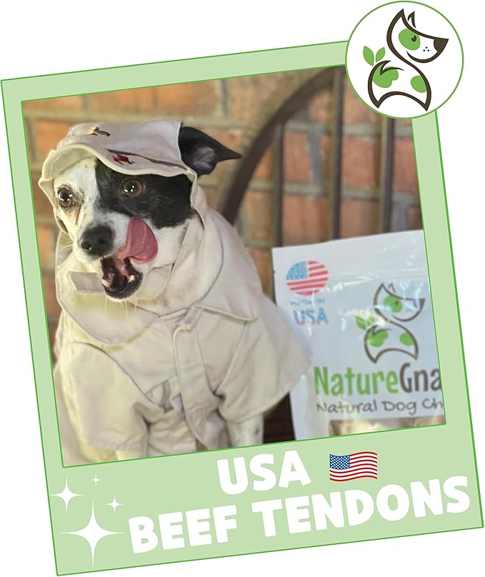Nature Gnaws USA Beef Tendons for Dogs (8oz) - Mixed Thickness - Long Lasting for Aggressive Chewers - Premium Natural Beef Dog Chew Treats - Rawhide Free