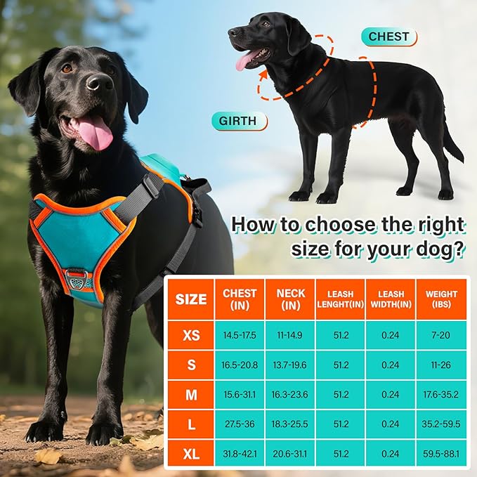 No Pull Dog Harness, 2 in 1 Retractable Harness with Auto-Lock, Reflective Breathable Mesh and Handle, Adjustable Leash Set for Small, Medium,Large Dogs,Cats (Color 1, M)