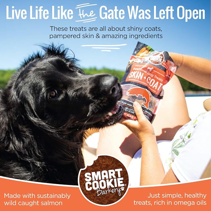 Smart Cookie All Natural Dog Treats - Healthy Skin & Coat Salmon Dog Treats - Ideal for Sensitive Stomachs or Itchy, Allergic, Dry Skin - Dehydrated, Crunchy, Human-Grade, Made in USA - 8oz, Pack of 1