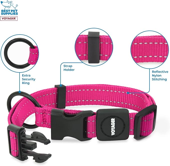 Best Pet Supplies Reflective Dog Collar with Adjustable Length, Heavy-Duty Buckle, and Strong Leash D-Ring, Training, Walking, Jogging Accessory for Small, Medium, and Large Breeds - Fuchsia, S