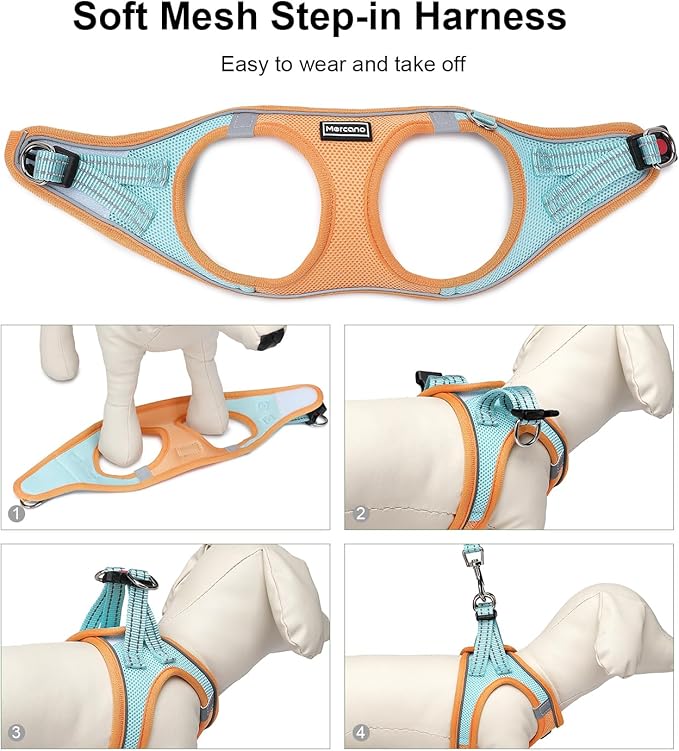 Mercano Soft Mesh Dog Harness and Leash Set, No-Chock Step-in Reflective Breathable Lightweight Easy Walk Vest Harnesses with Safety Buckle for Small Dogs, Cats (S, Orange Blue)
