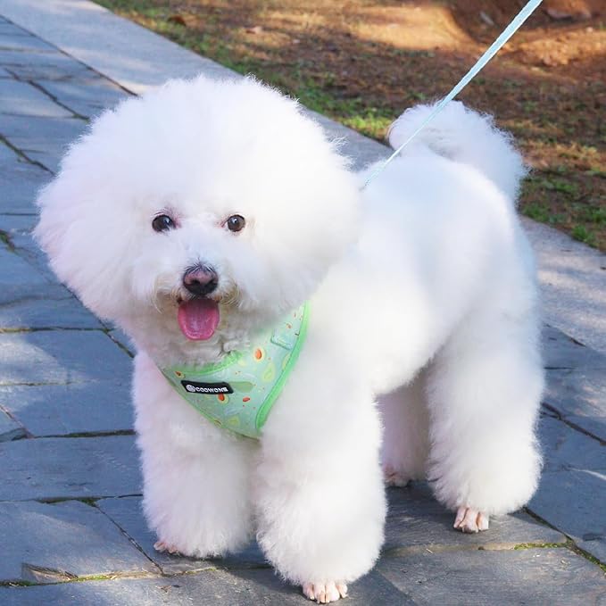 Dog Harness and Leash Set, Adjustable Dog Harness, Dog Leash, No Pull No Choke Puppy Harnesses for Walking Training for Small Medium Pet