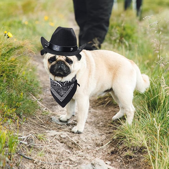 Yewong Pet Cowboy Costume Accessories - Dog Cat Pet Size Cowboy Hat and Bandana Scarf West Accessories for Puppy Kitten Party Festival and Daily Wearing Set of (Black Hat+Black Bandana)