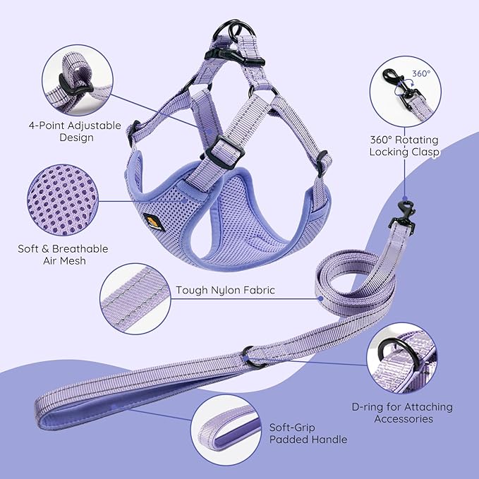 BELLA & PAL Adjustable Step-in Dog Harness, Puppy No-Pull Vest with Leash Set for XS/Small & Medium Dog, Breathable All-Weather Mesh, Reflective Strip, Secure Hook & Loop, Buckle Closure, Dual D-Rings