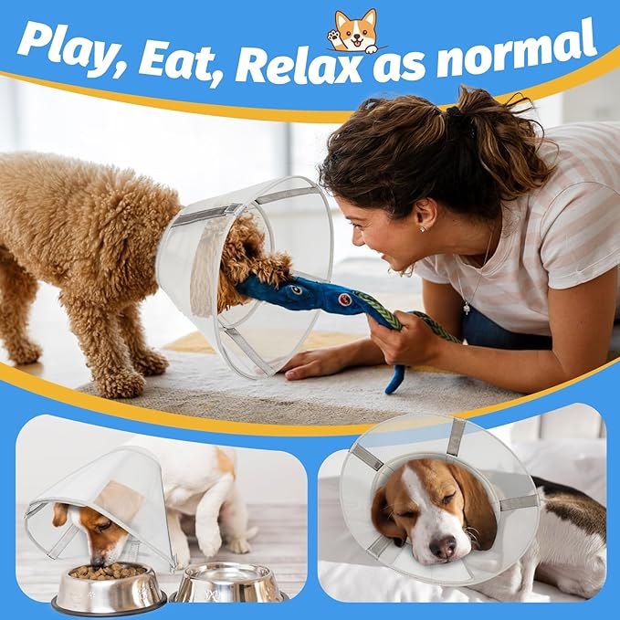 Dog Cone Collar to Stop Licking: Soft Mesh Recovery Collar After Surgery with Detachable Pad, Elizabeth Cone Alternative for Large Medium, Small Dogs, Normal Eating and Drinking (M)