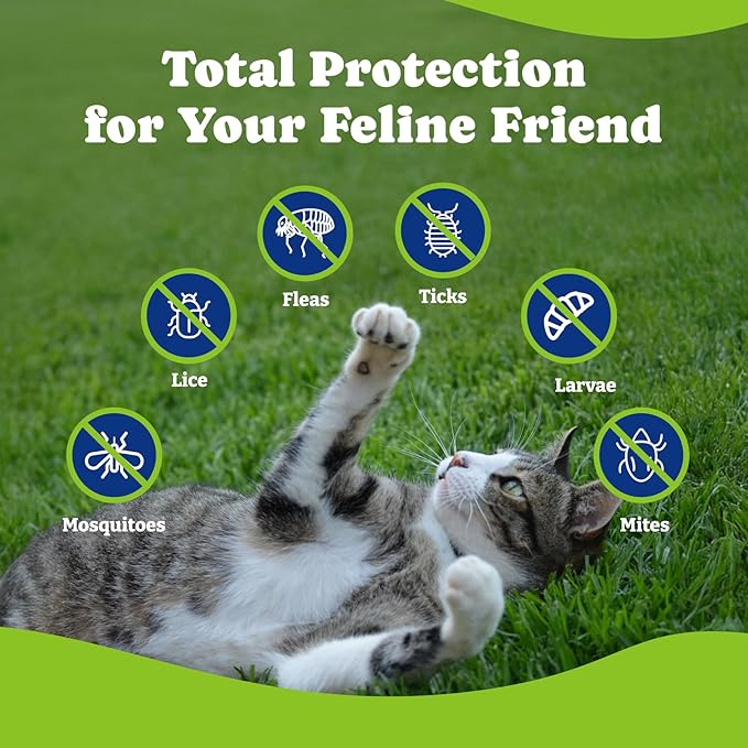 Flea and Tick Prevention for Cats - 200 Soft Chews Natural Cat Flea Treatment, Salmon & Blueberry Flavor - Flea Treatment for Cats, Cat Oral Flea, Immune Support Supplement