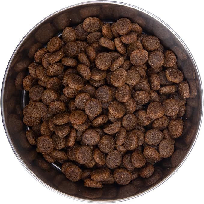 Health Extension Grain Free Salmon & Sweet Potato Dry Dog Food (23.5 lb / 10.66 kg) - Whole Foods Ingredients Formula with Omega 3 & Antioxidants for All Life Stages Dogs