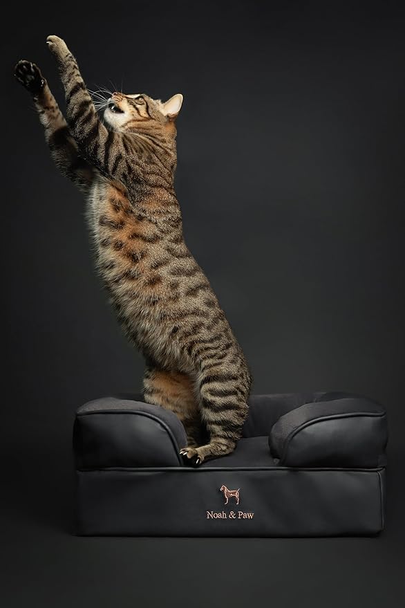 NOAH & PAW Small Dog Bed, 20x15x8 Inch, Cat Bed for Indoor Cats, Orthopedic Eggshell Memory Foam Infused with Cooling Gel, Waterproof Inner Cover Machine Washable (Faux Leather Collection)