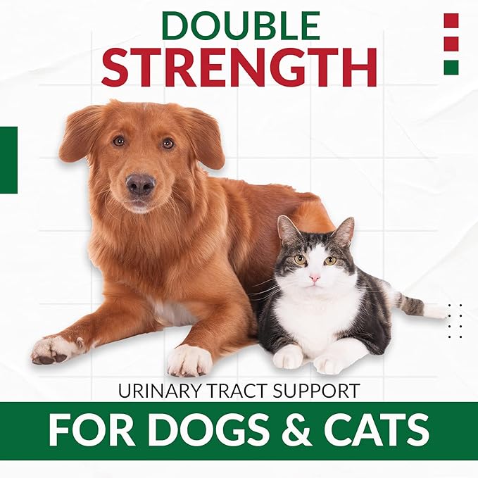 Cranberry D-Mannose for Dogs and Cats Urinary Tract Infection Support Prevents and Eliminates UTI, Bladder Infection Kidney Support 11.4 oz (Double Strength Soft Chew, 120 Soft Chew)