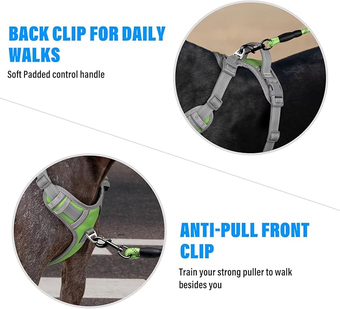 Plutus Pet No Pull Dog Harness, Release at Neck, Reflective Adjustable Dog Vest Harness, Easy Control Handle for Walking, for Small Medium Large Dogs, Green, S