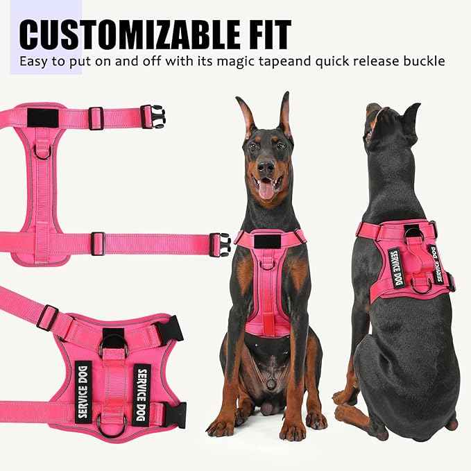Demigreat Reflective Dog Vest Harness with 5 PCS Patches, Adjustable Soft Oxford Dog Harness, Inner Layer Mesh, Prevent Pulling and Choking, Small (HotPink)