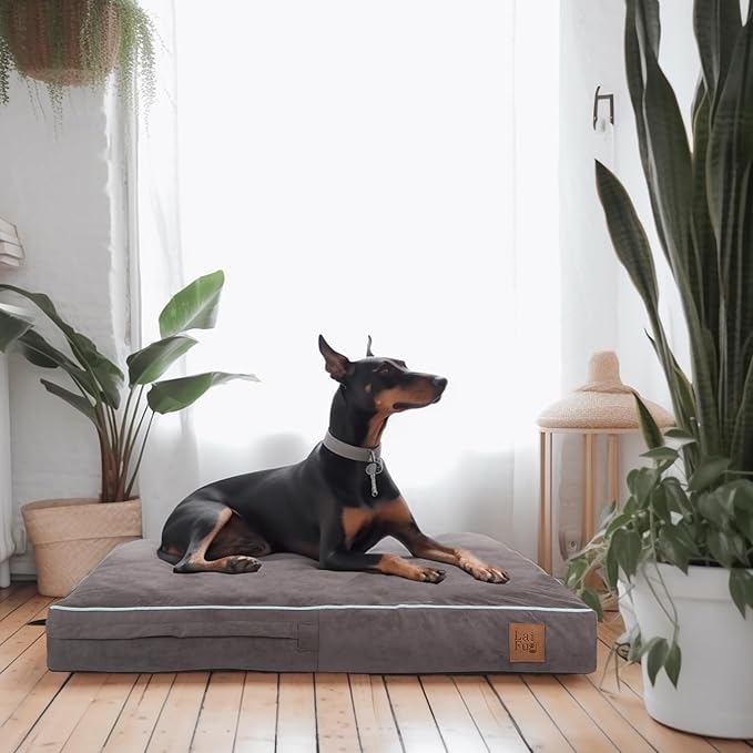 Laifug Orthopedic Memory Foam Pet(40"x 25"x 4",Slate Grey)/Dog Bed with Durable Waterproof Liner and Removable Washable Cover